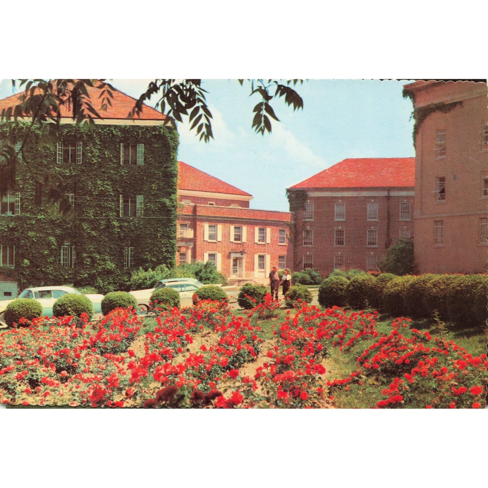 Ole Miss University Mississippi Lyceum Building Chrome Postcard Hubert Lowman - Picture 1 of 2